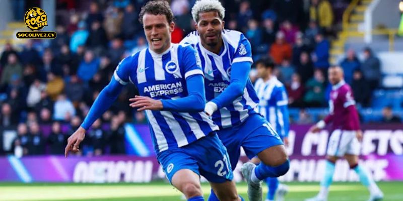 "Mòng biển" Brighton quyết tâm dùng lối đá kiểm soát bóng để giăng bẫy The Blues trên sân nhà